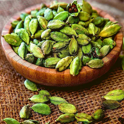 Cardamom Plantation